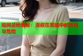 暗网禁地揭秘：潜藏在黑暗中的真相与危险