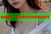 暗网探秘：窥视隐秘世界的黑暗角落