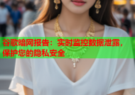 谷歌暗网报告：实时监控数据泄露，保护您的隐私安全