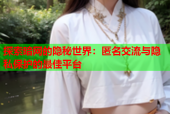 探索暗网的隐秘世界：匿名交流与隐私保护的最佳平台