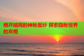 揭开暗网的神秘面纱 探索隐秘世界的真相