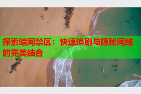 探索暗网禁区：快速追剧与隐秘网络的完美结合