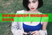 探索未知的暗网世界 揭秘隐藏的秘密与交易