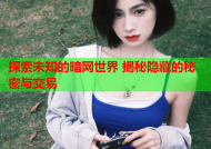 探索未知的暗网世界 揭秘隐藏的秘密与交易