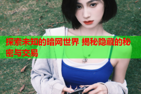 探索未知的暗网世界 揭秘隐藏的秘密与交易