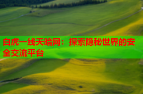 白虎一线天暗网：探索隐秘世界的安全交流平台