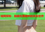 暗网探秘：隐藏在黑暗中的真实世界