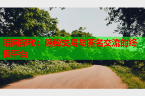 暗网探秘：隐秘交易与匿名交流的终极平台