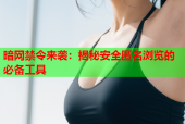 暗网禁令来袭：揭秘安全匿名浏览的必备工具