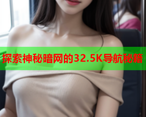 探索神秘暗网的32.5K导航秘籍  第2张