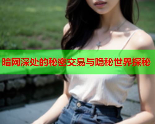 暗网深处的秘密交易与隐秘世界探秘  第2张