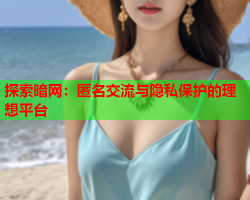 探索暗网：匿名交流与隐私保护的理想平台  第2张