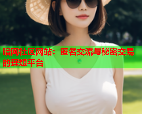 暗网社区网站：匿名交流与秘密交易的理想平台  第1张